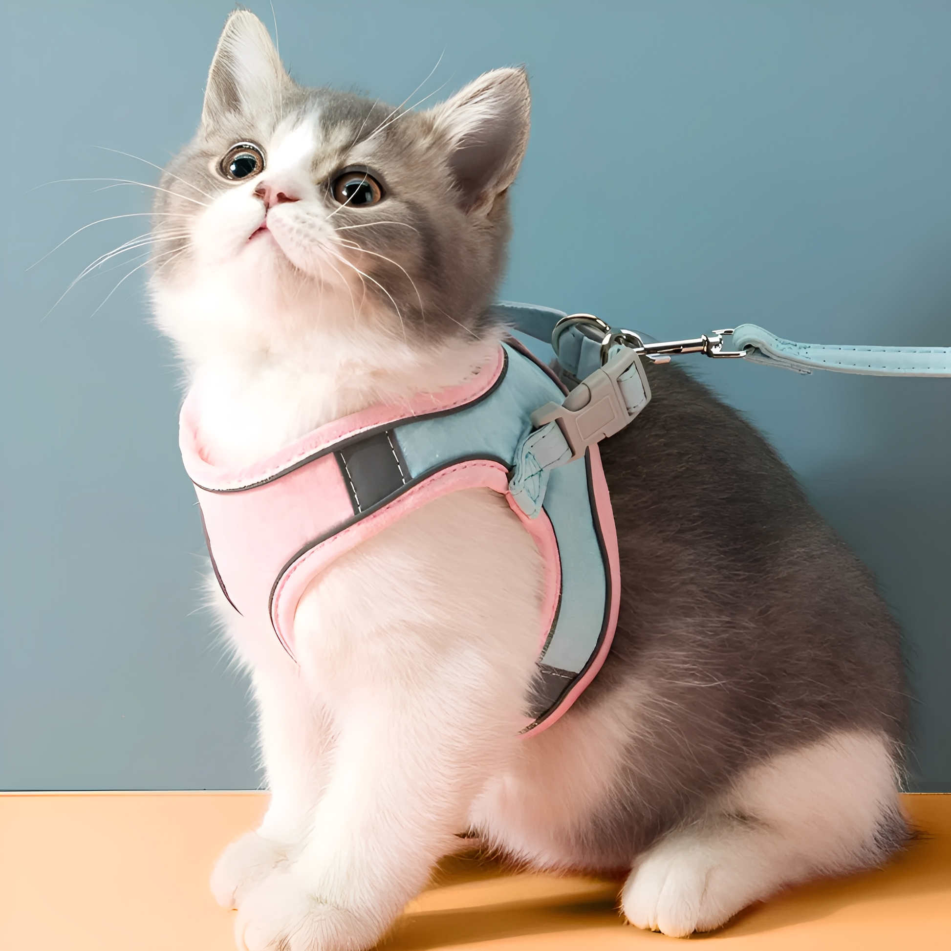 Catventure - Verstelbaar Veiligheidstuigje Kat