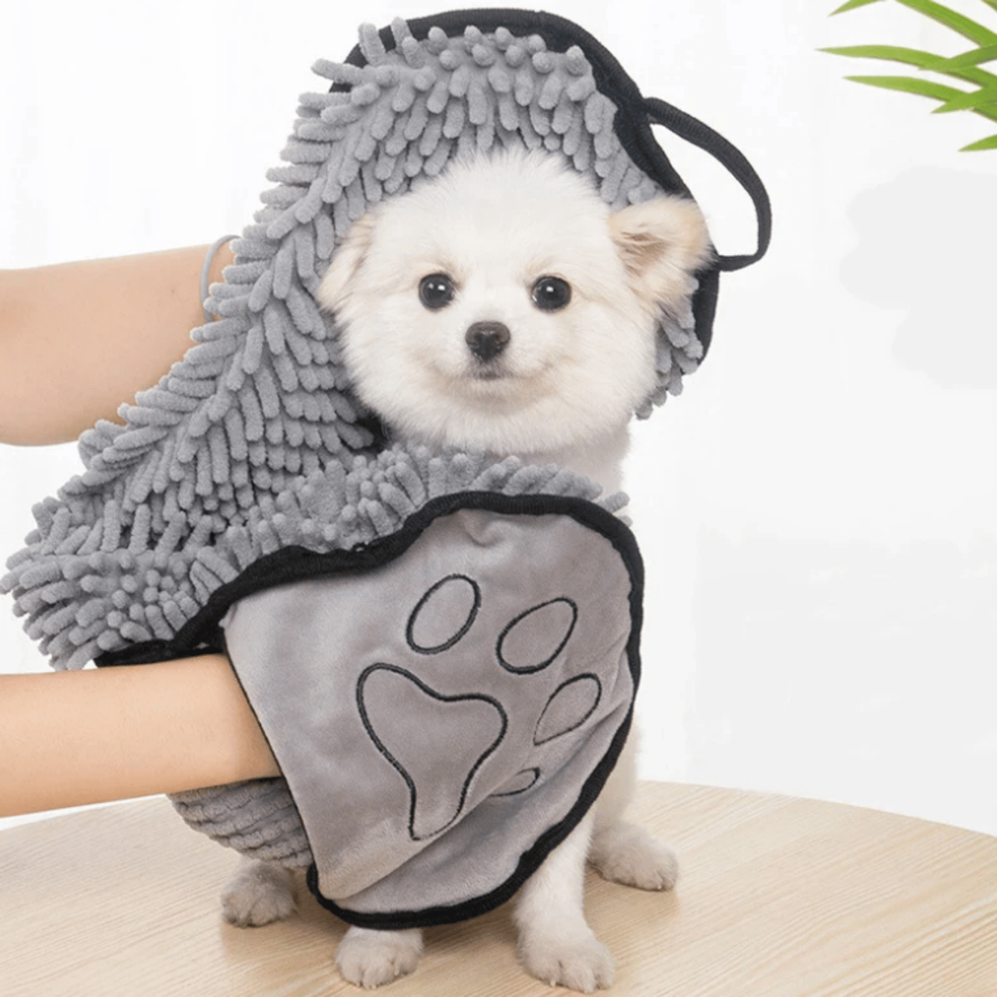 Absopet - Absorberende Microvezel Hondenhanddoek - Mivero