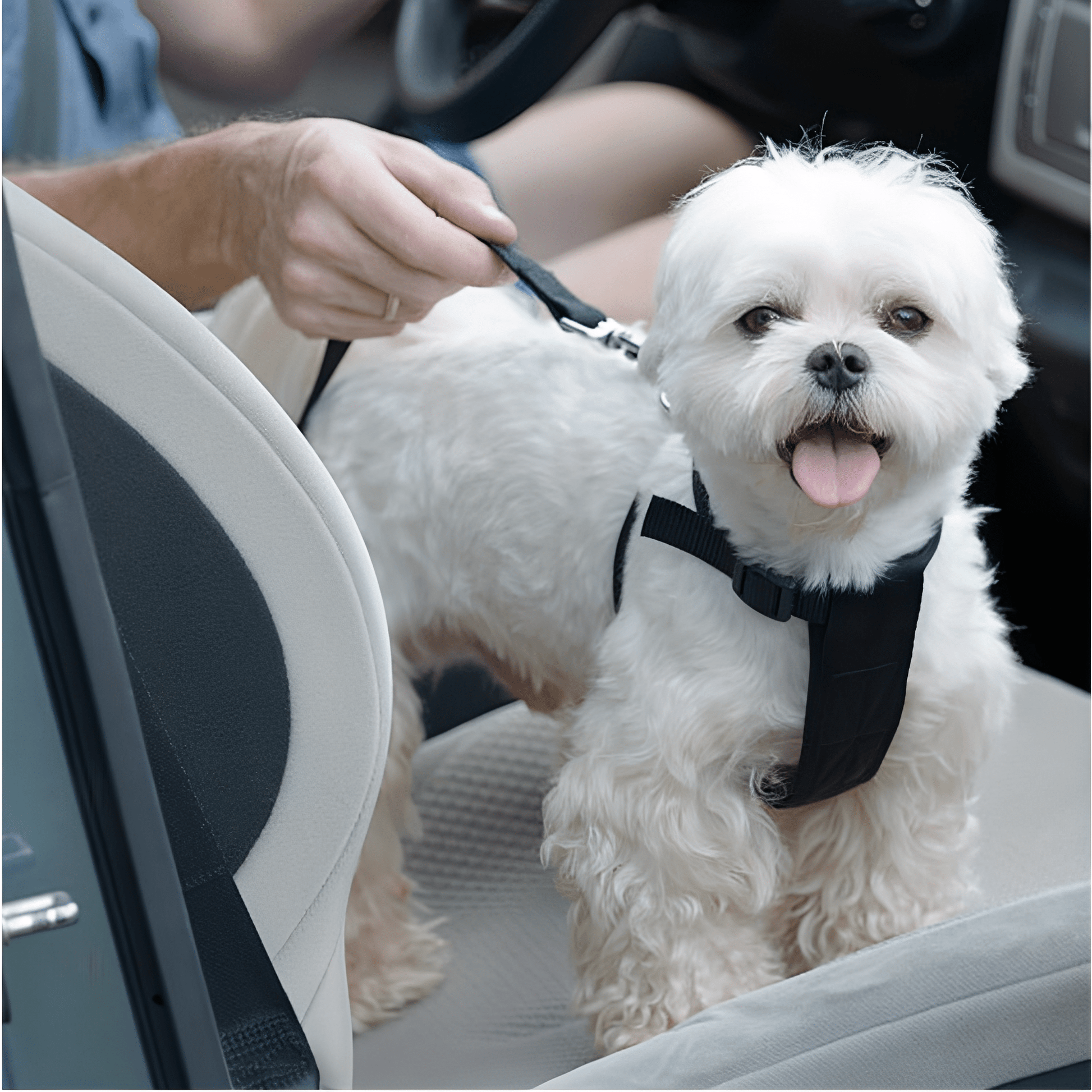 BarkBuckle - Verstelbare Veiligheids Autogordel - Mivero