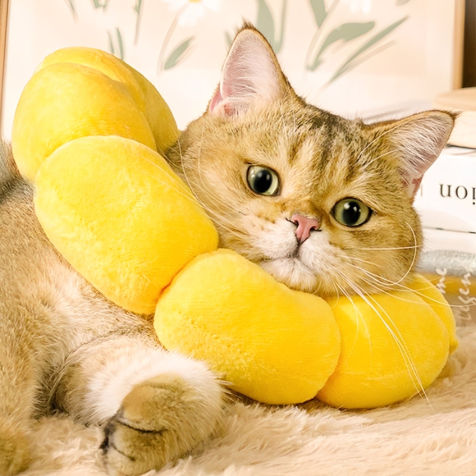 Bloomie - Verstelbare Zonnebloem Herstelkraag - Mivero