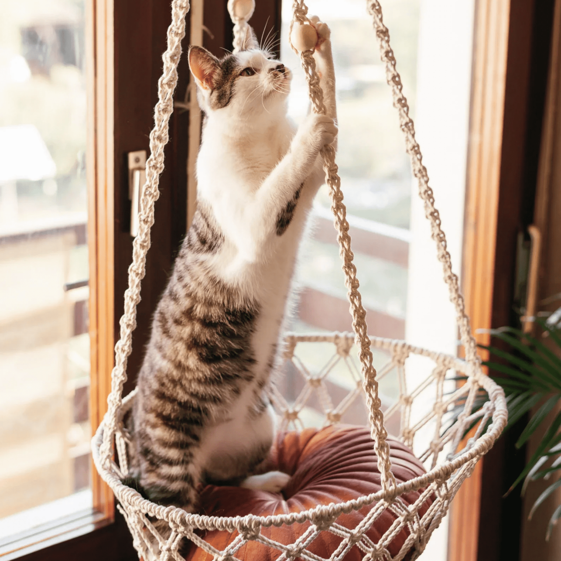 Boheema - Bohemien Hangende Kattenhangmat - Mivero