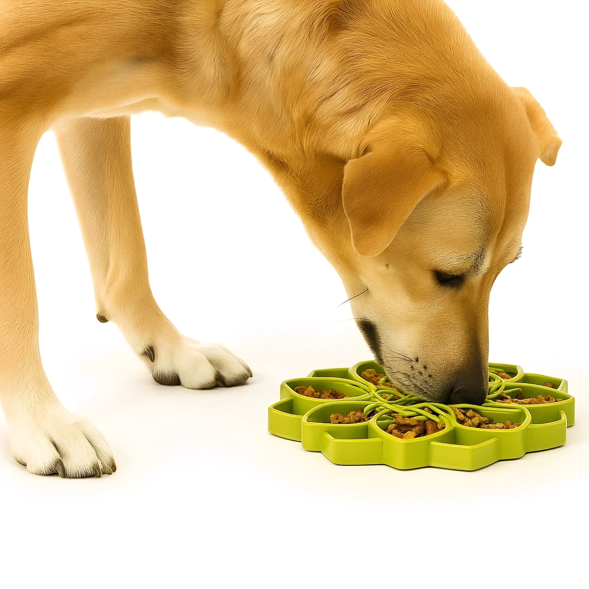 Bowlsy - Mandala Snuffel - voerbak - Mivero