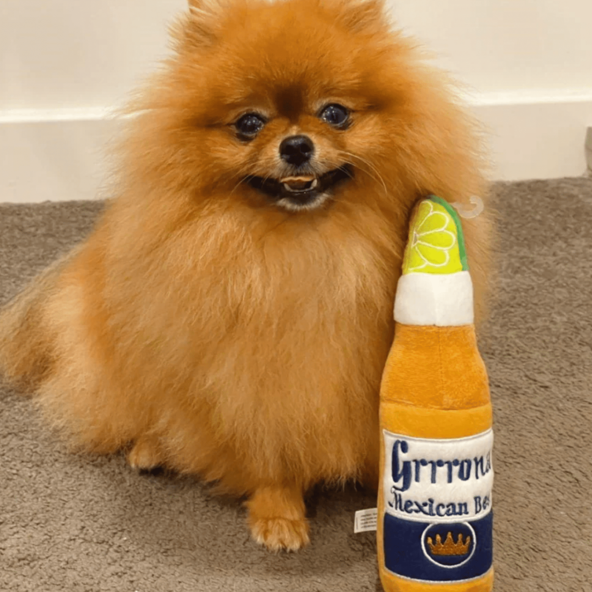 Brewdy - Humoristisch Piepend Hondenspeeltje - Mivero