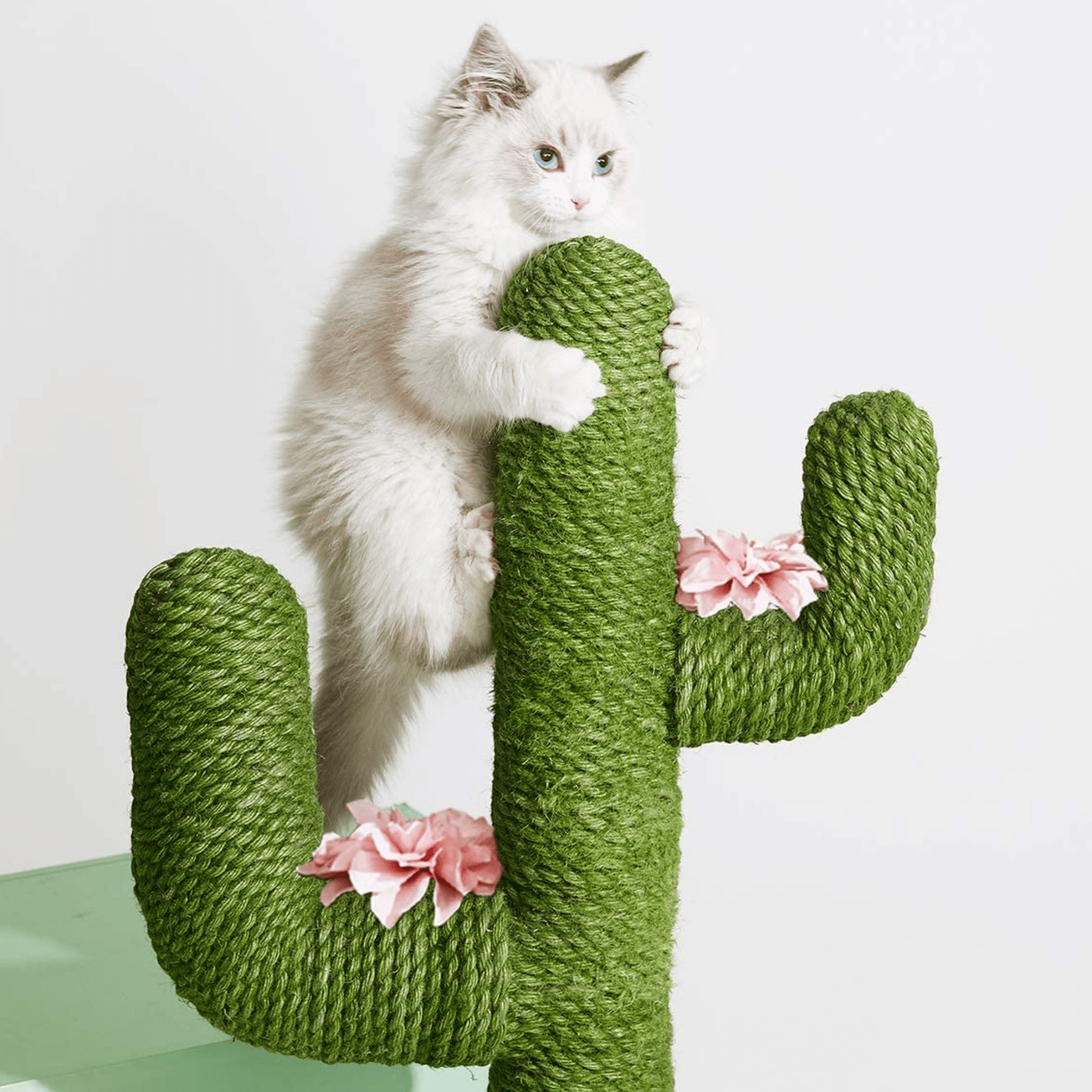 Cactopia - Speels Cactusvormig Krabmeubel - Mivero