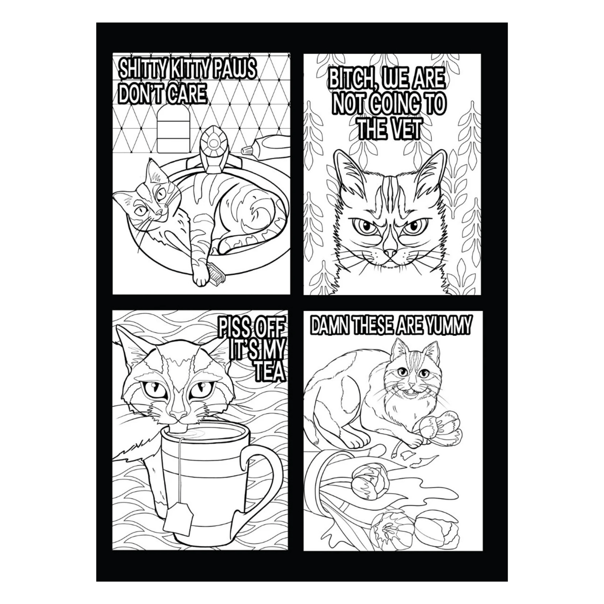 Cattitude Deel 2 – Het Hilarische Kattenkleurboek - Mivero