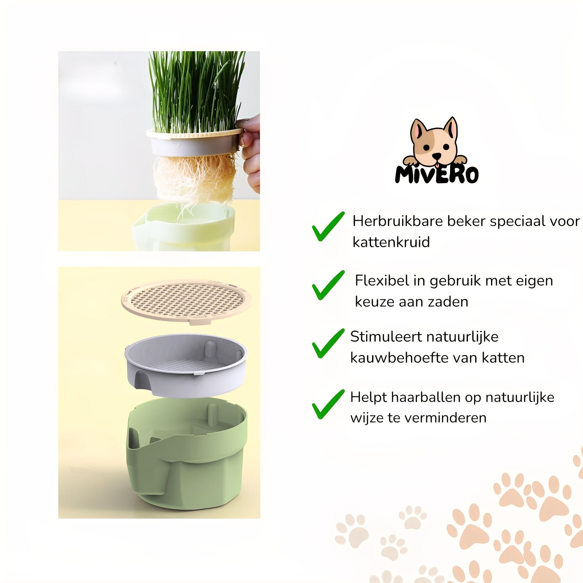 Chewfresh - Herbruikbare Kattenkruid Kweekbeker - Mivero