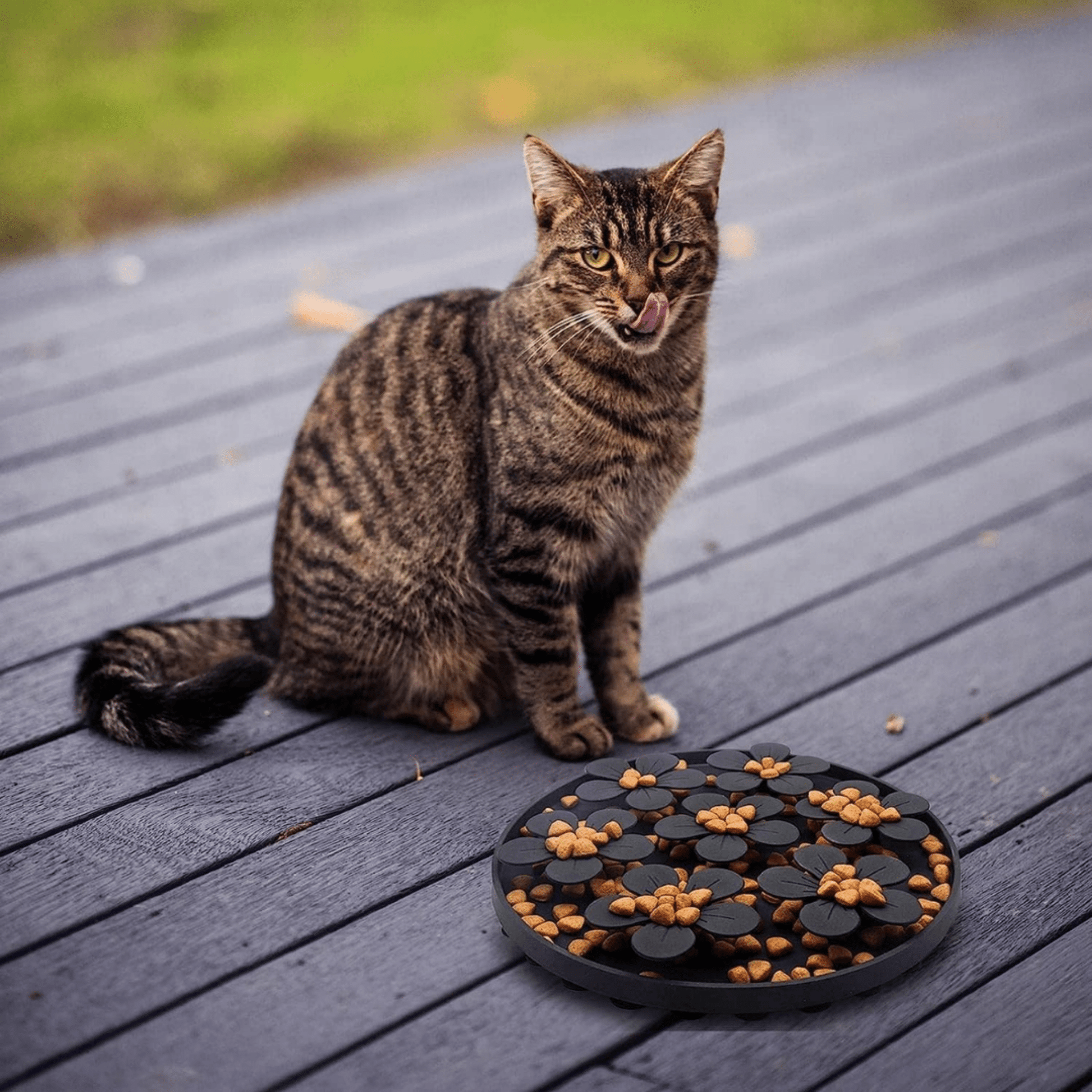 Chewly - Puzzelvormige Siliconen Voerbak - Mivero