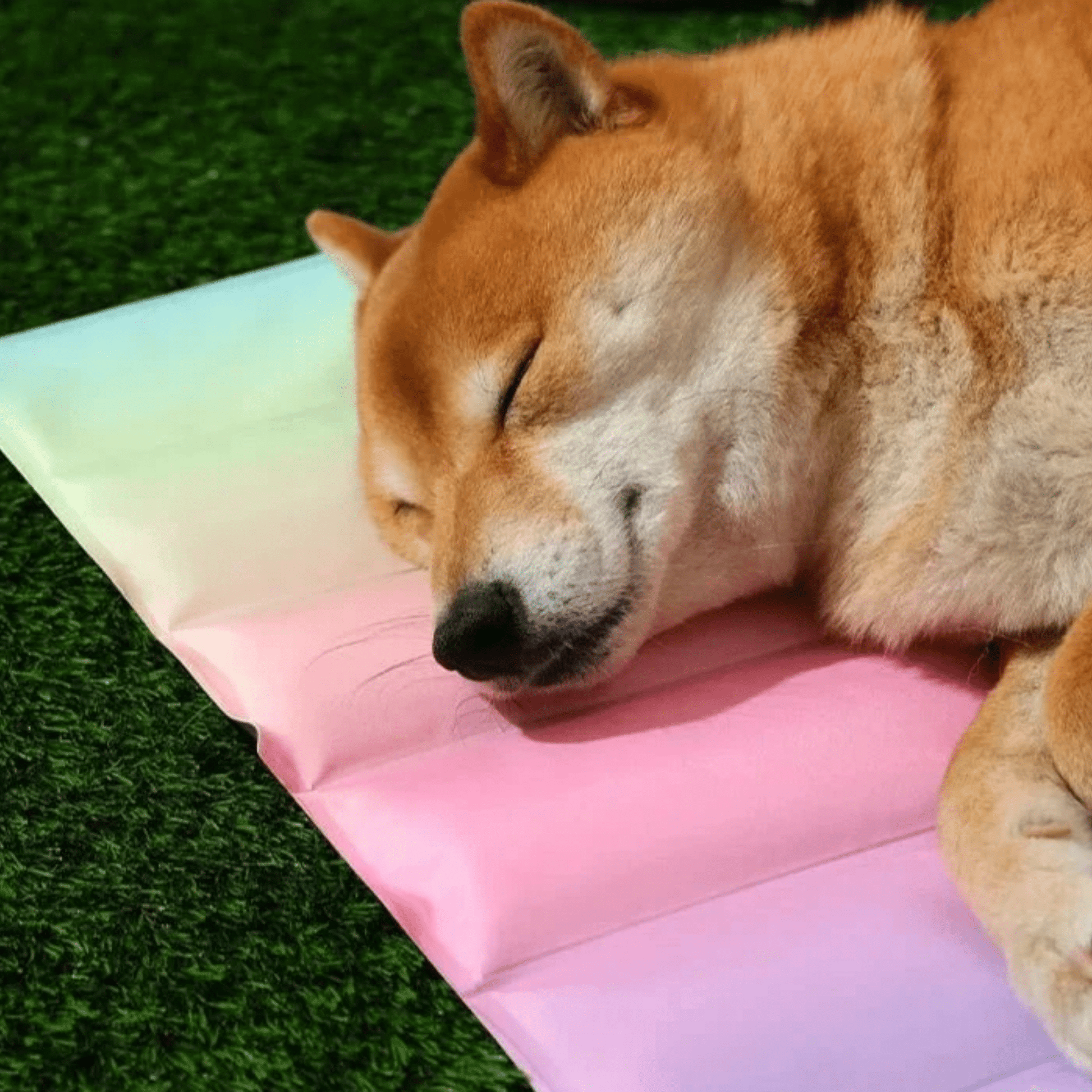 Chillow - Verkoelend Ademend Huisdierenbed - Mivero