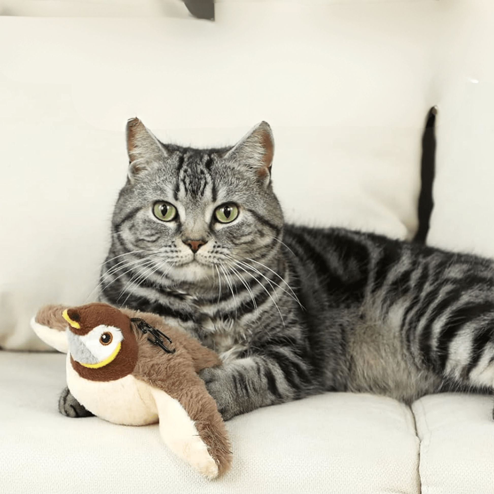 ChirpFly - Katten Speelgoed Interactieve Vogel 2.0 - Mivero