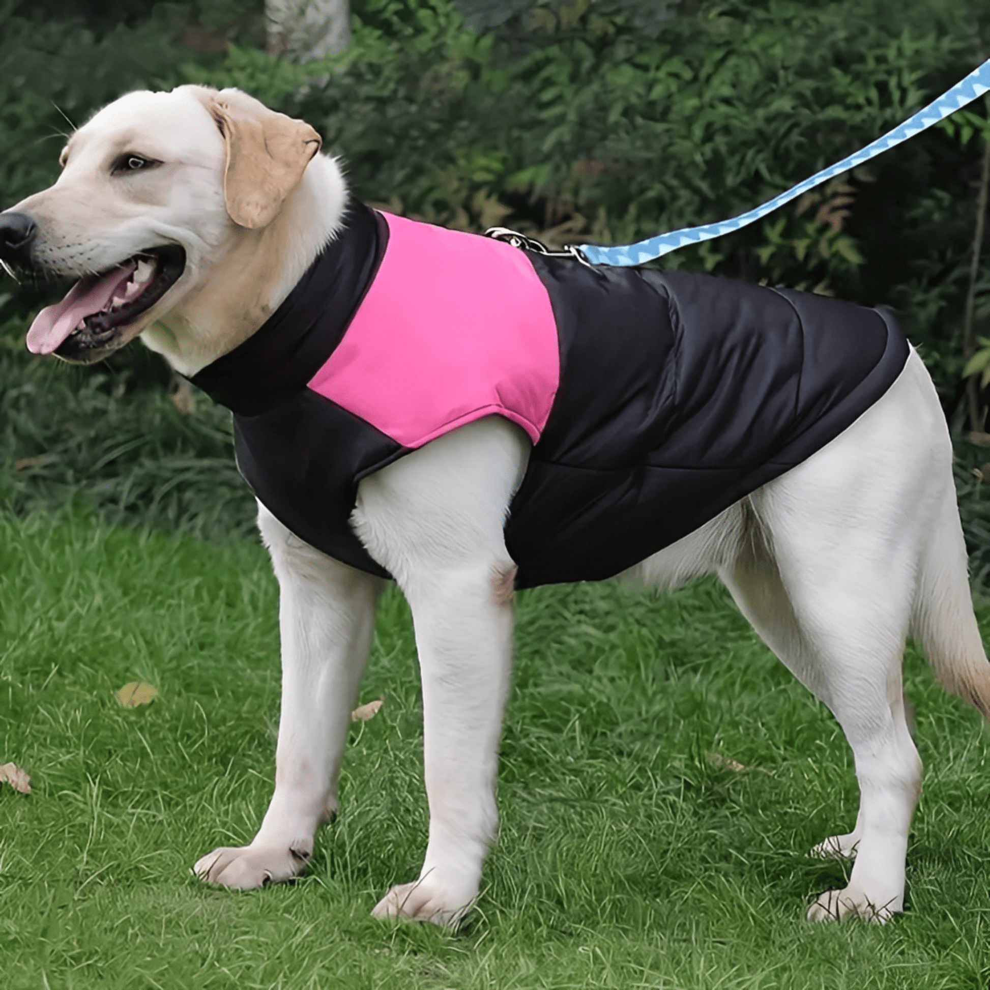 ComFura - Waterdichte Fleece Hondenjas - Mivero