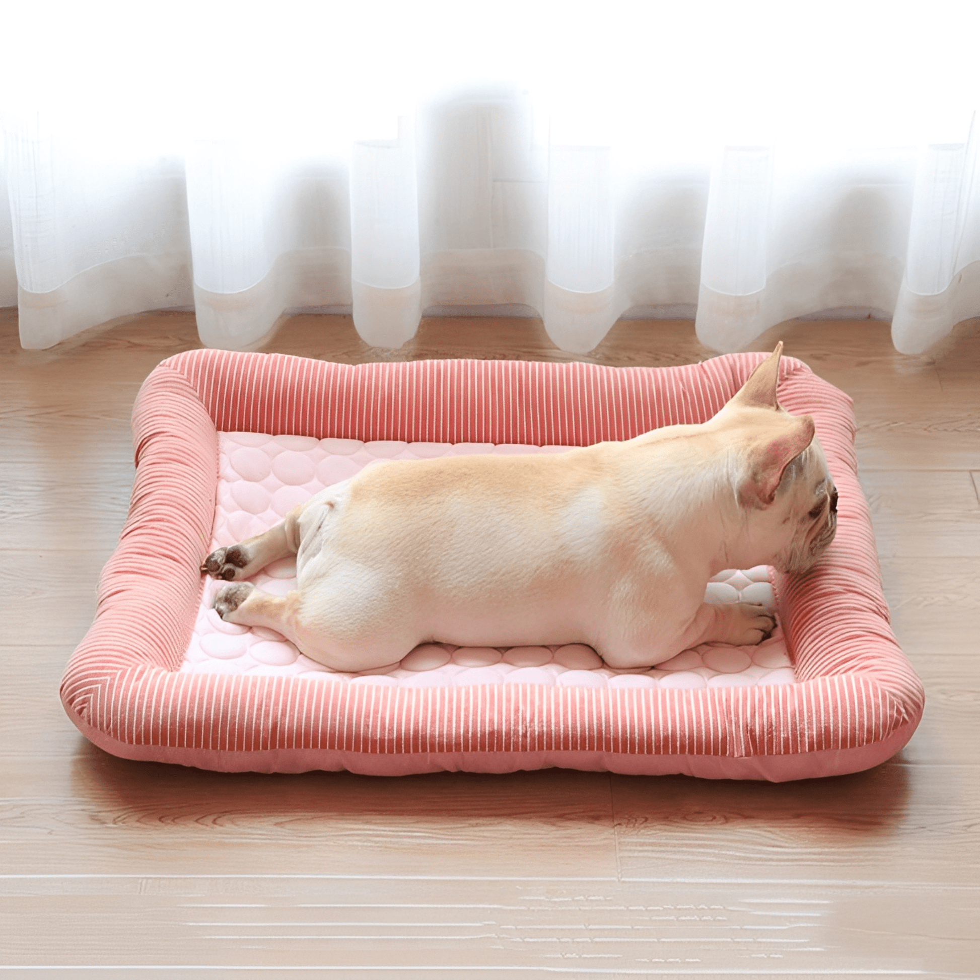 CoolPaw Premium - Bescherm je hond tegen de zomerse hitte! - Mivero