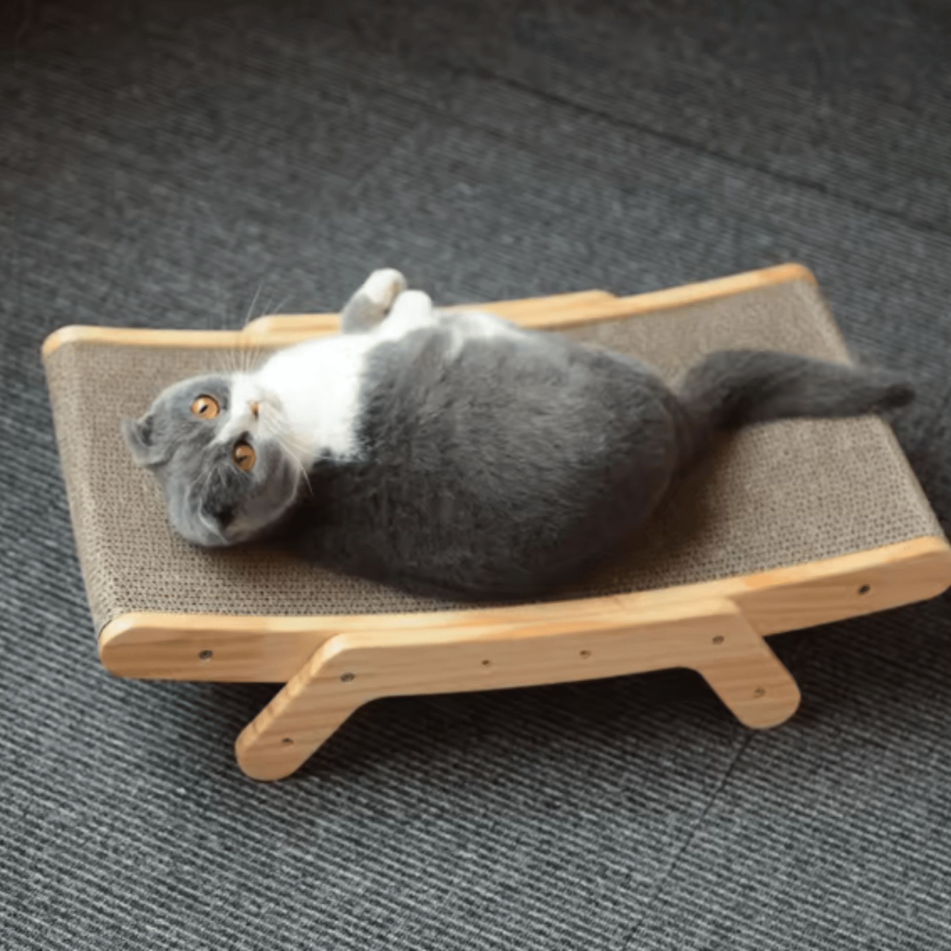 Craddle - Verstelbare Kartonnen Kattenlounge - Mivero