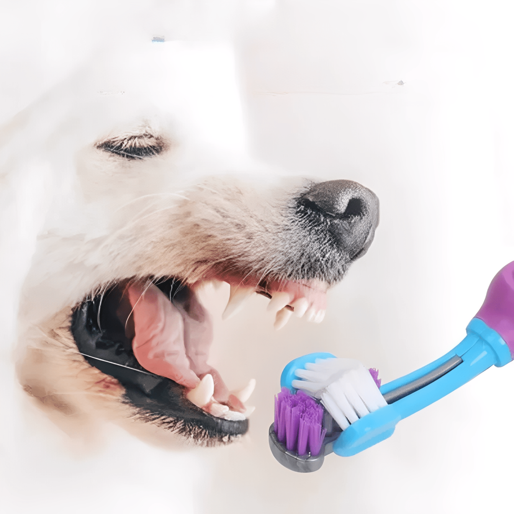 DentaPup - Ergonomische dubbelzijdige hondentandenborstel - Mivero