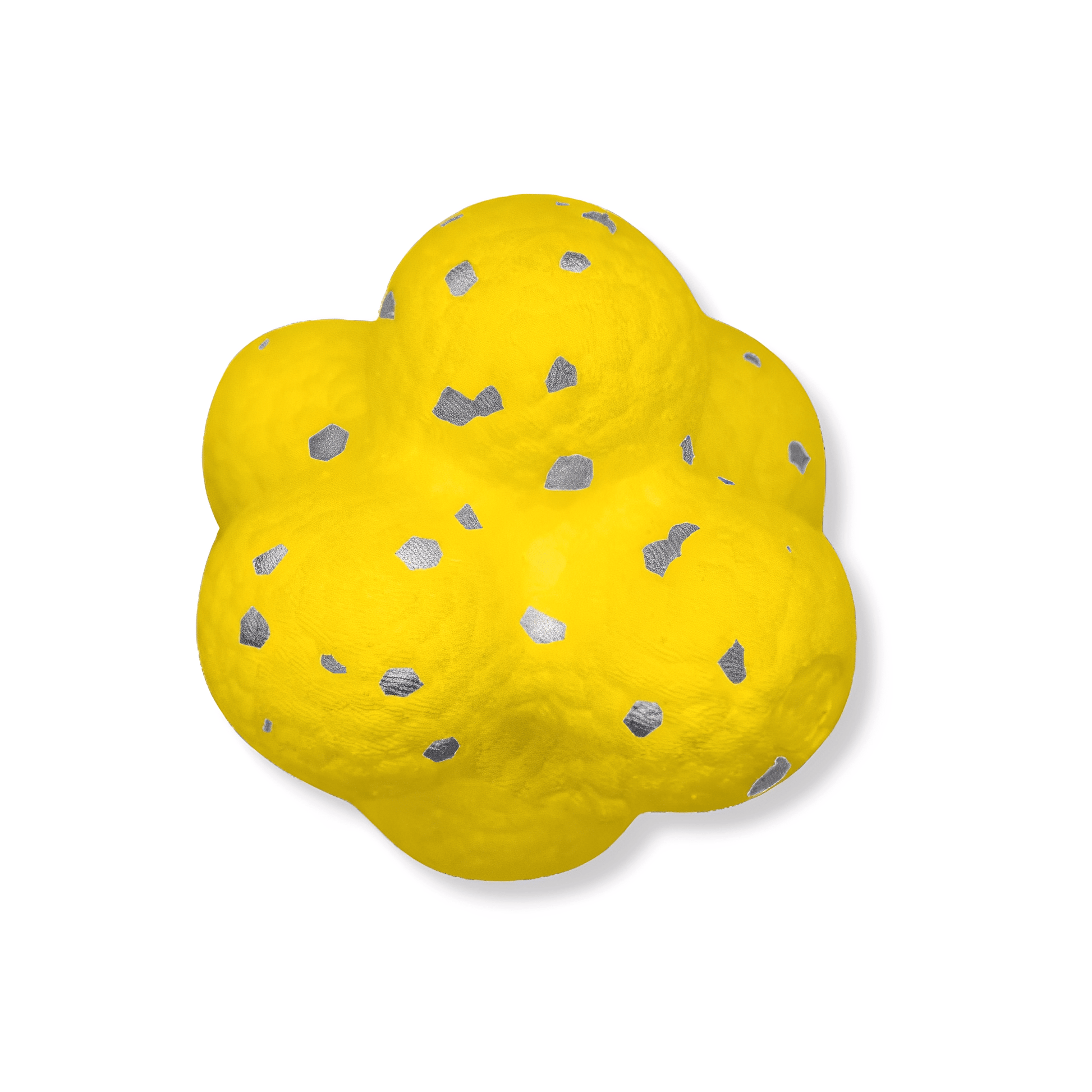 Dentiball - Tandverzorgende Kauwbal Hond - Mivero