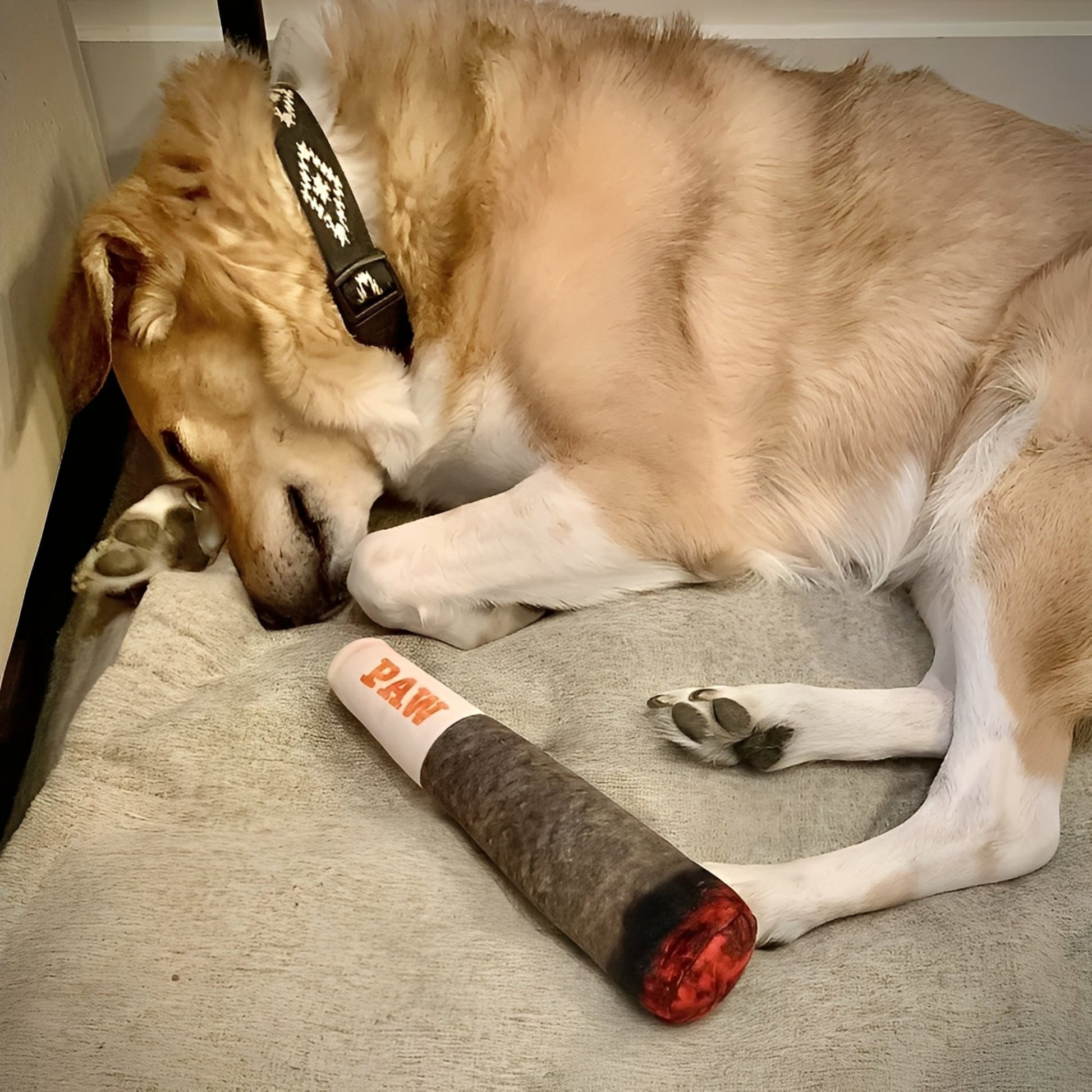 Doobster - Hilarisch Knisperend Hondenspeeltje - Mivero