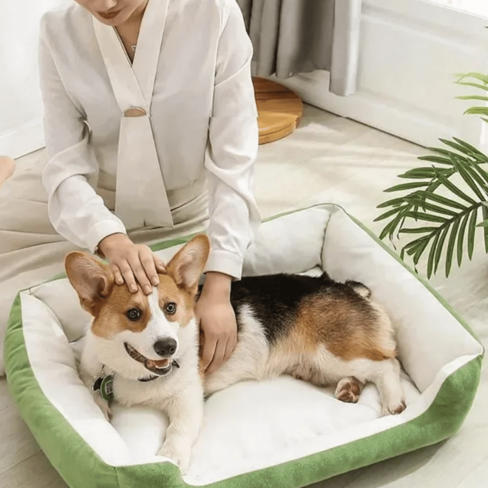 DreamBed - Pluche Knusse Huisdierenmand - Mivero