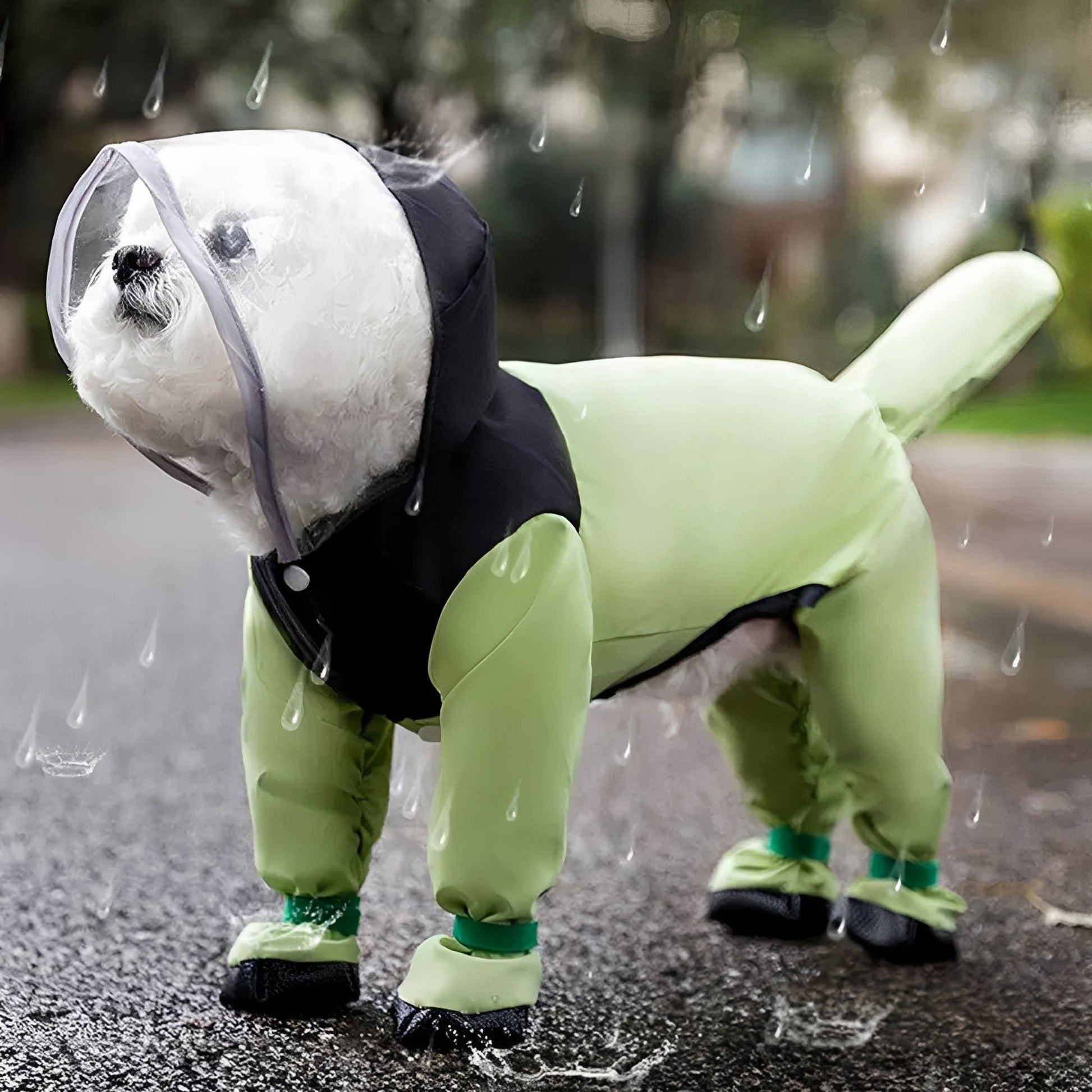 Drytail - Waterdichte Transparante Hondenregenjas - Mivero