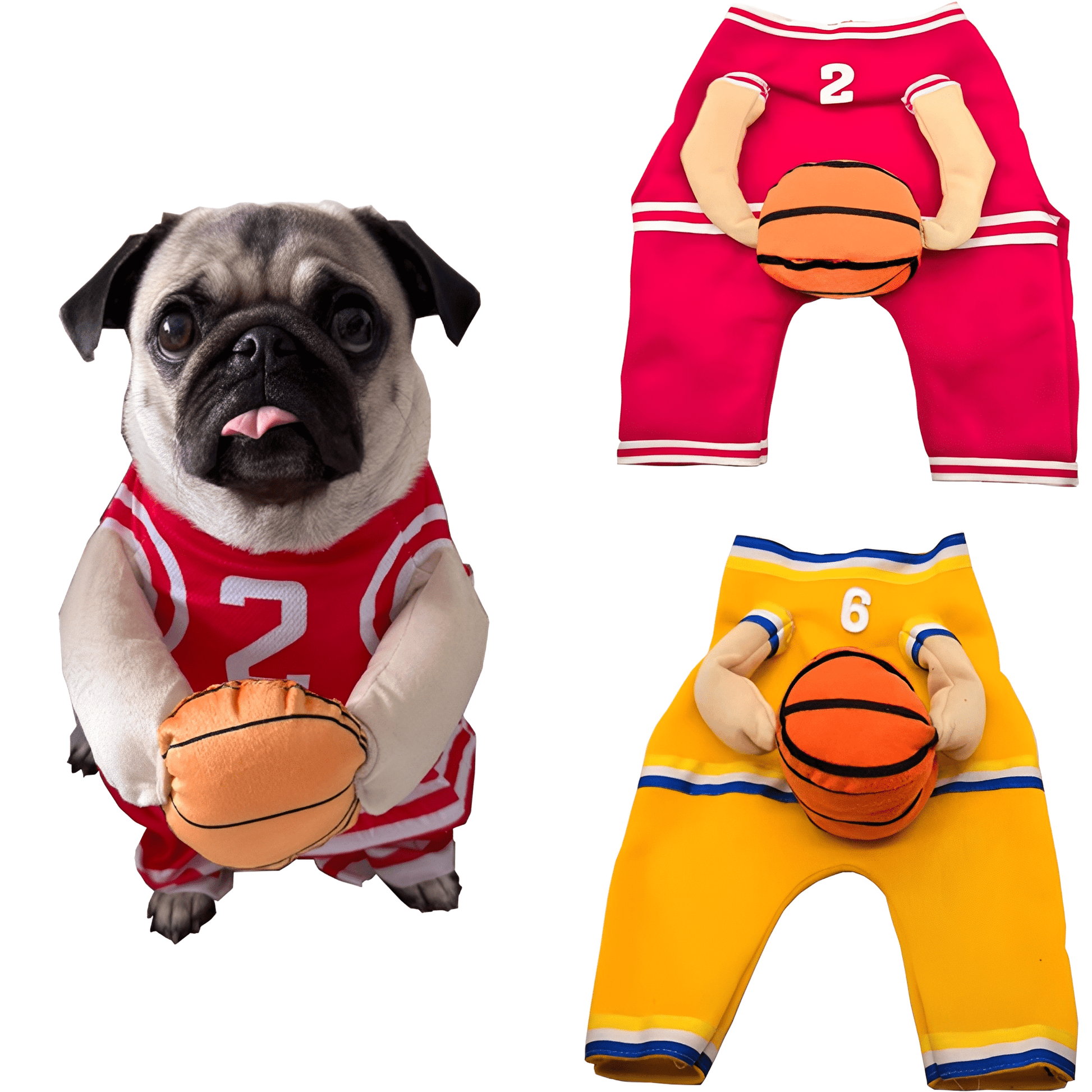 DunkinDog - Maak jouw hond een ster! - Mivero