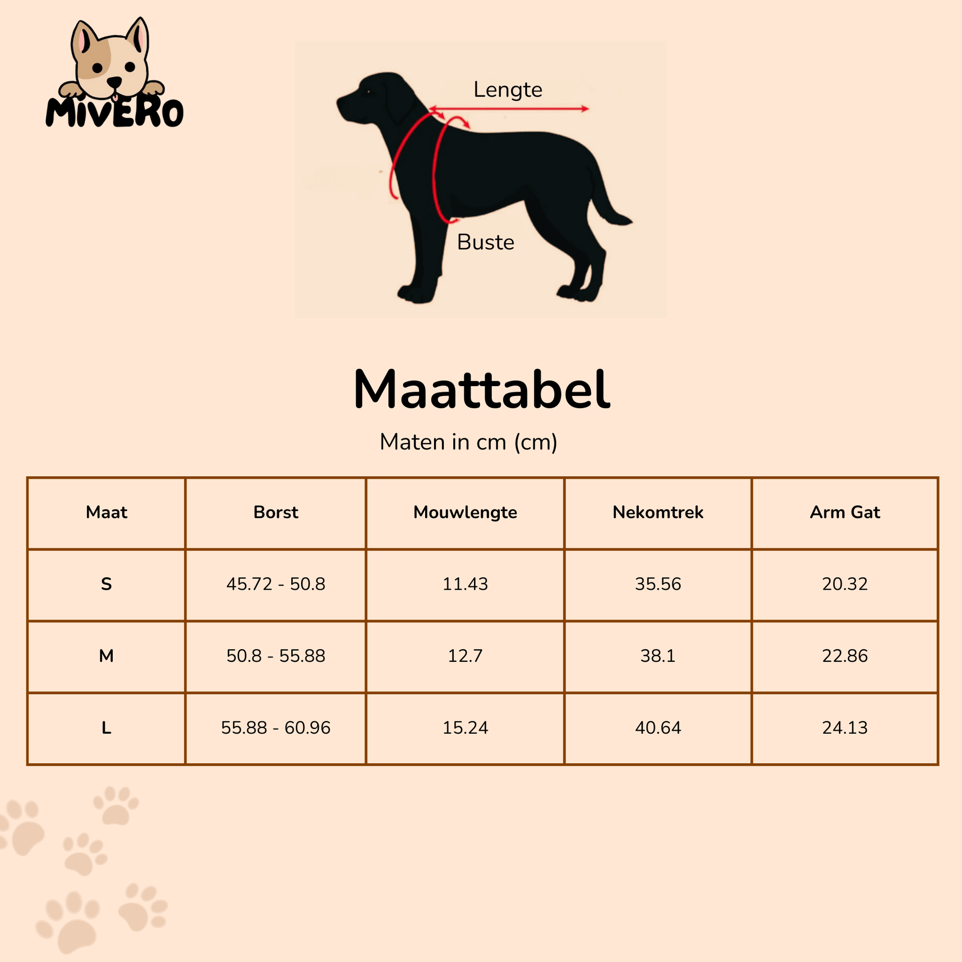 DunkinDog - Maak jouw hond een ster! - Mivero