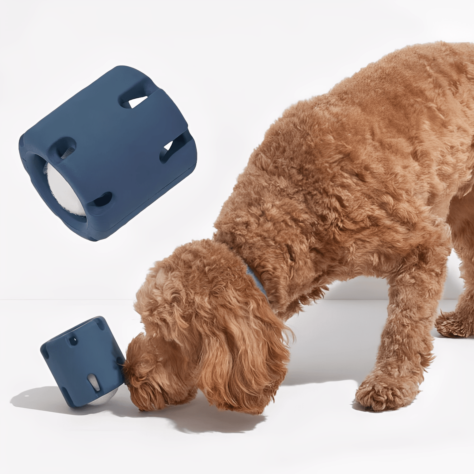 Fetchnest - Hondenspeelgoed Interactief Met Tennisbal - Mivero