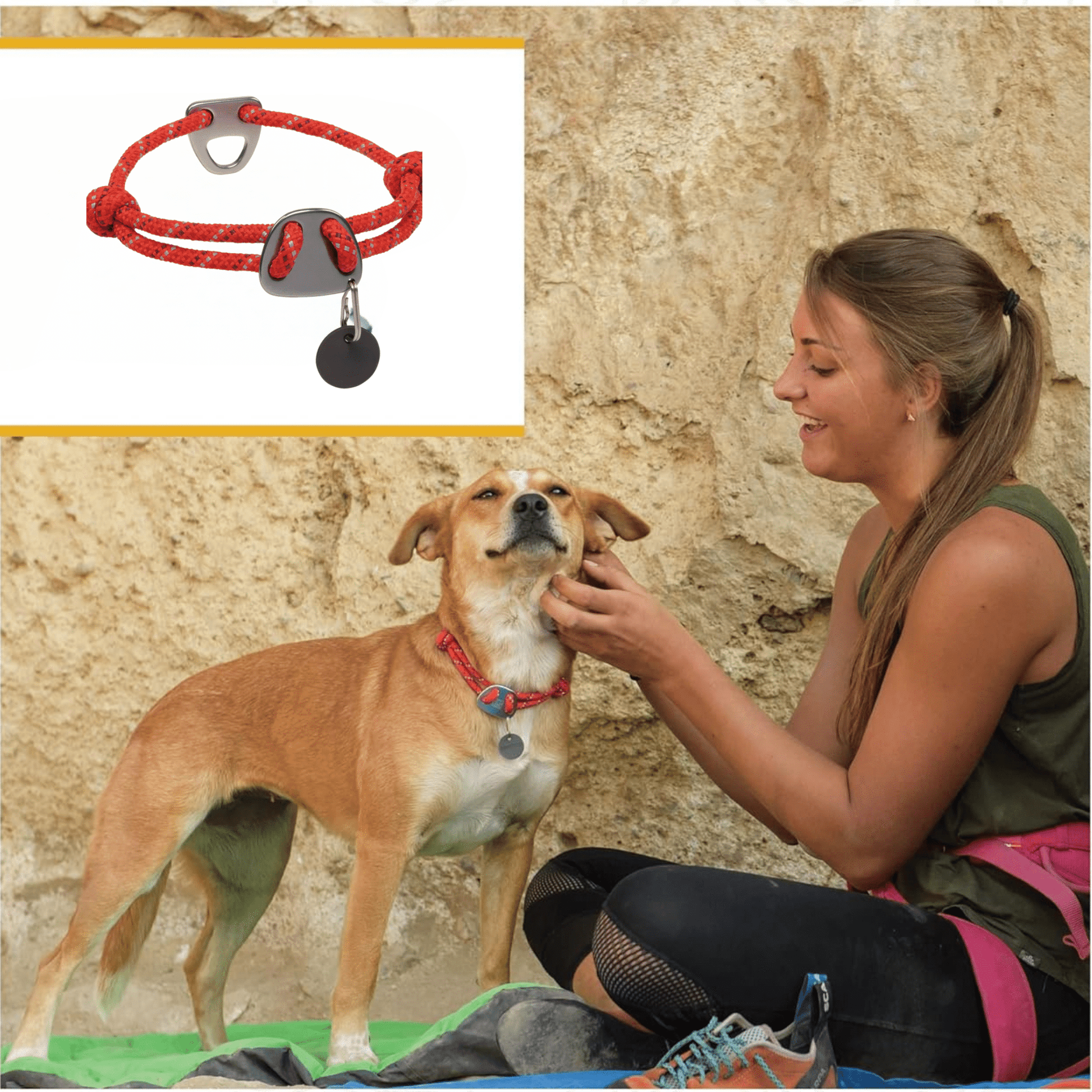 Flexlead - Reflecterende Knopenloze Hondenhalsband - Mivero