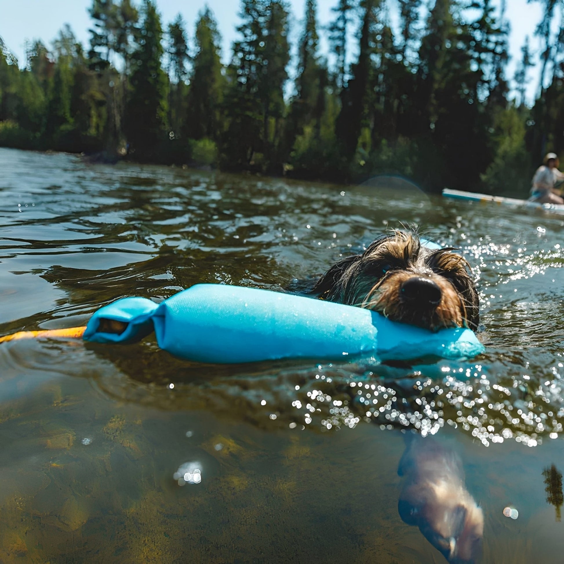 Floatie - Drijvend Touwspeelgoed Hond - Mivero