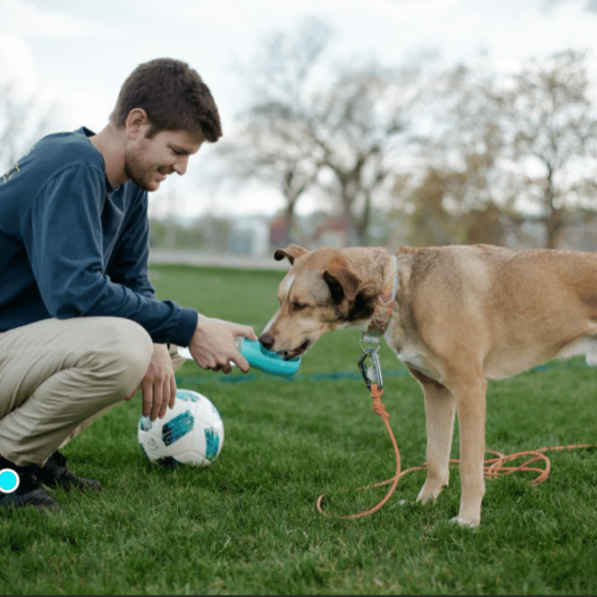 Floky - De alles in 1 oplossing voor avonturen met je hond! - Mivero