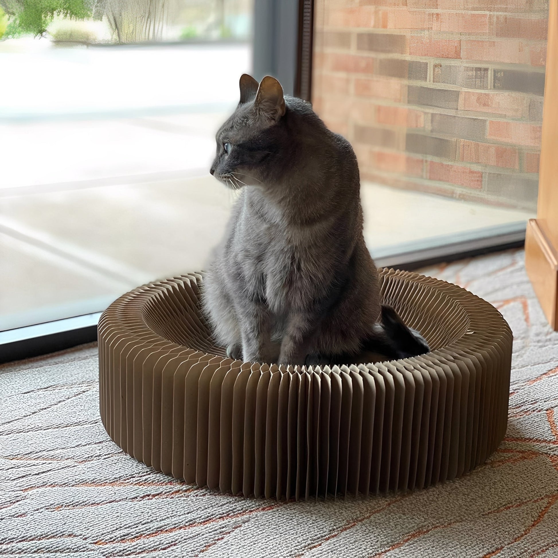 FoldNest - Opvouwbare Kartonnen Kattenlounge - Mivero