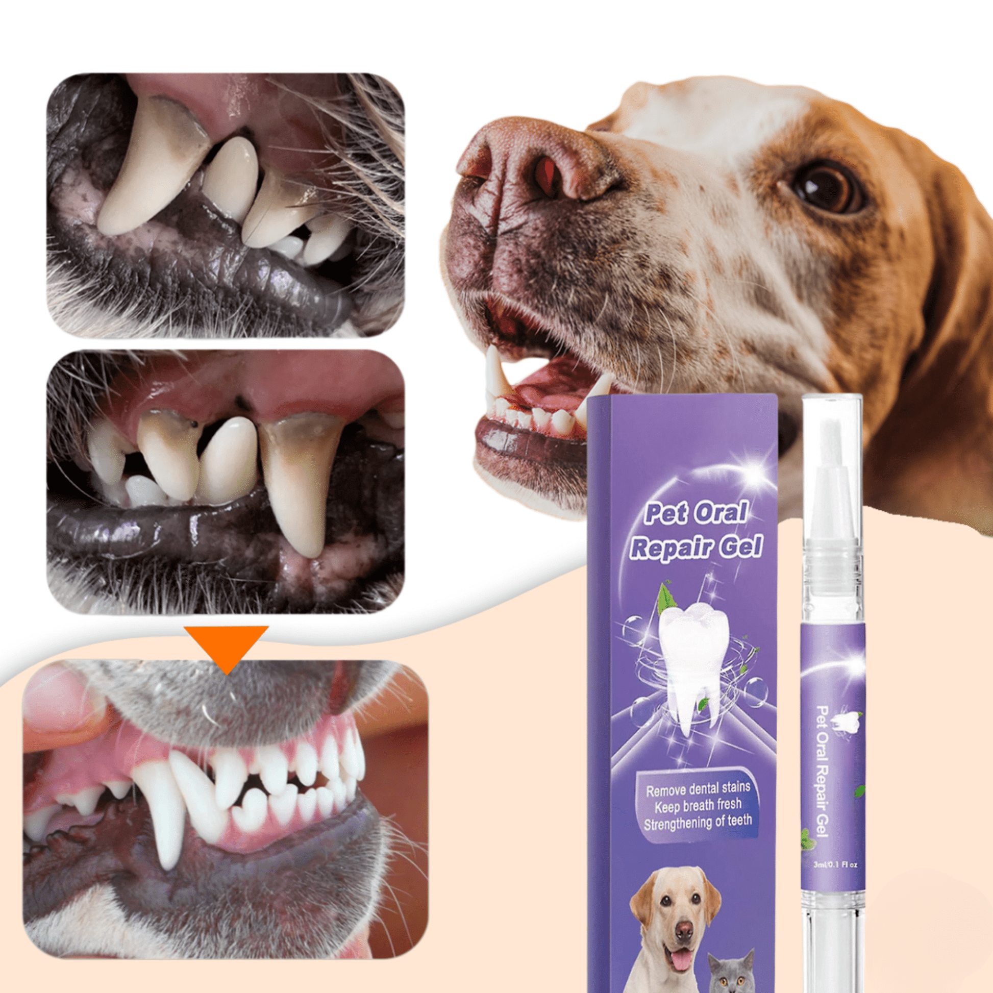 FreshPet - Frisse adem en gezonde tanden voor je huisdier! - Mivero