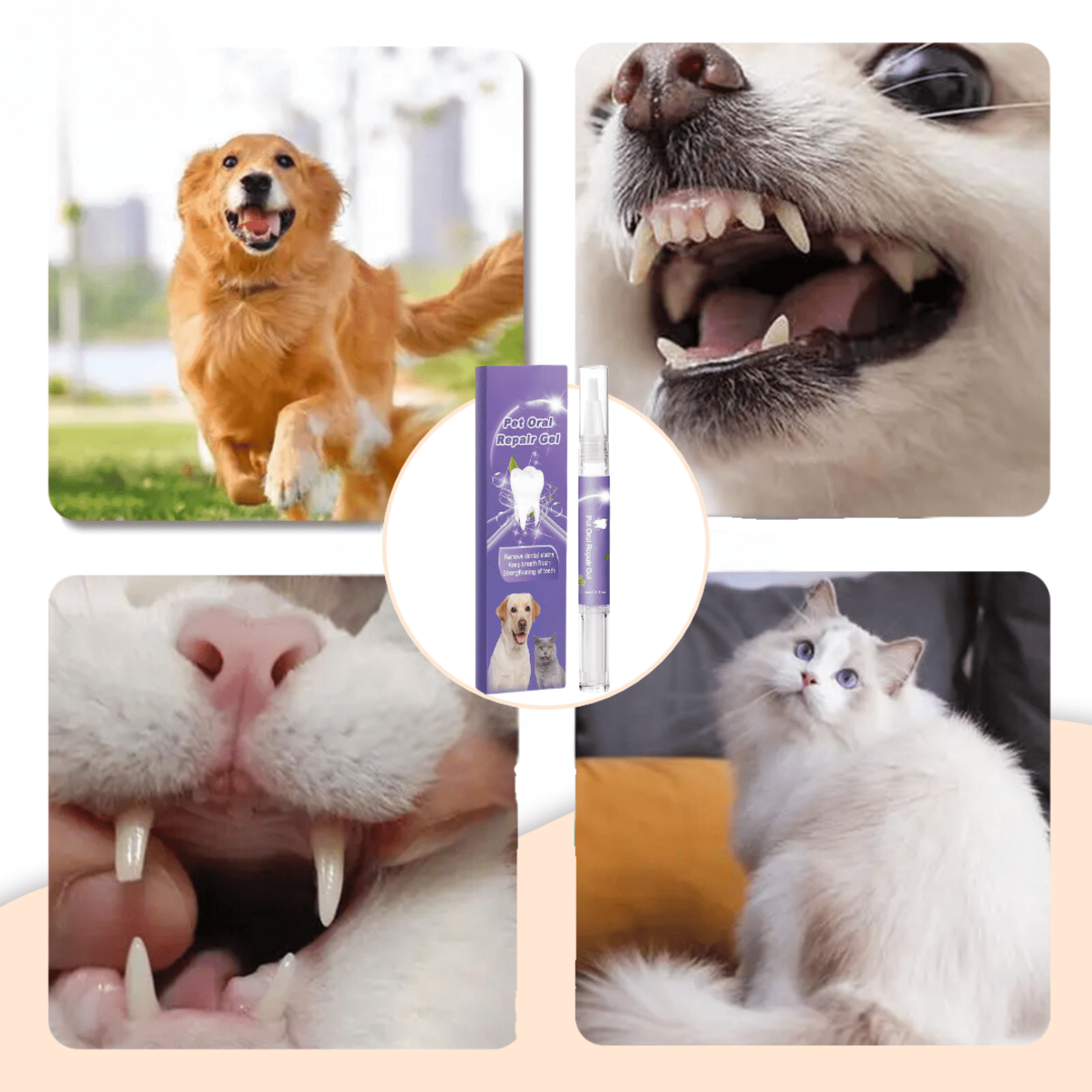 FreshPet - Frisse adem en gezonde tanden voor je huisdier! - Mivero