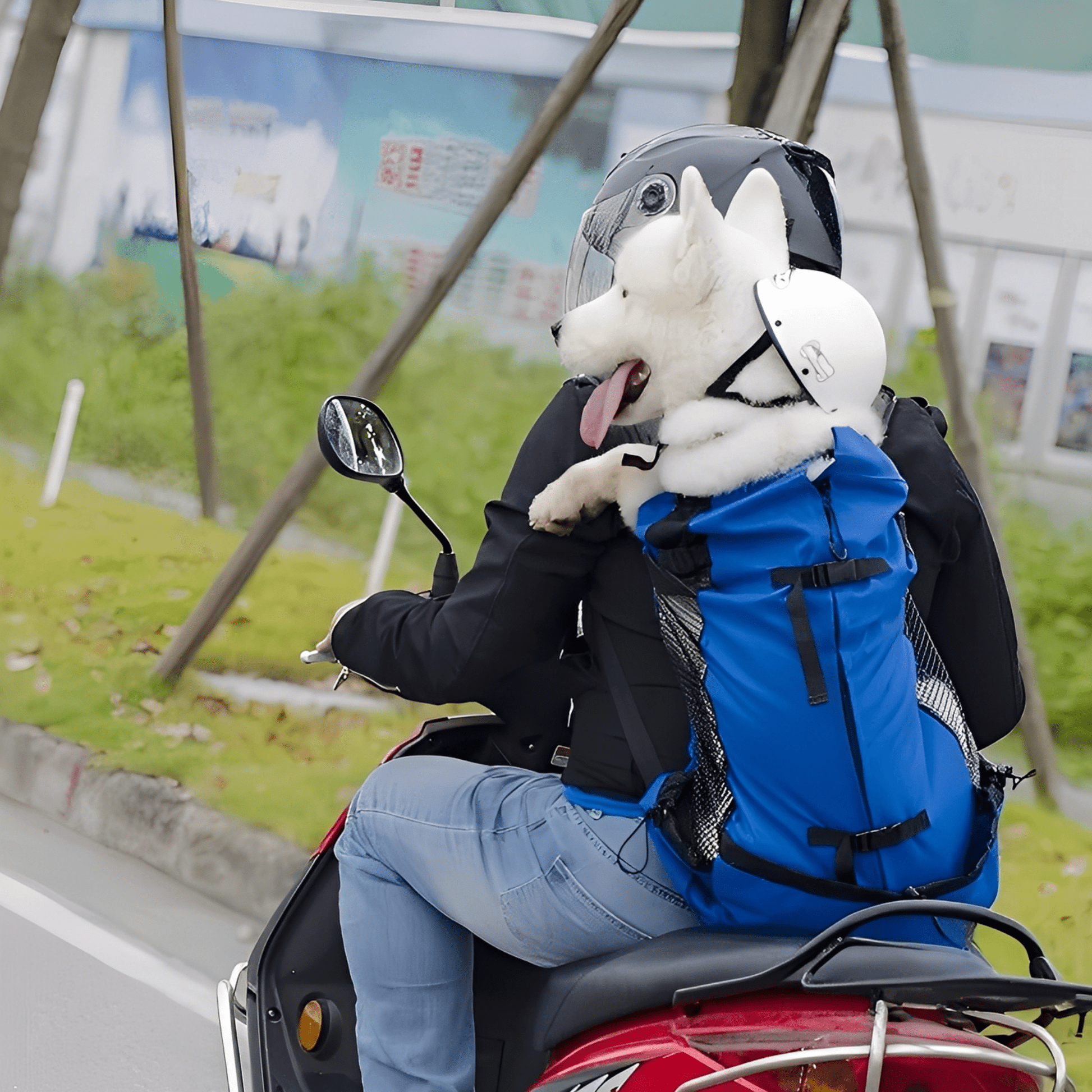 PawPack - Ergonomische Hondendraagzak Rugzak - Mivero