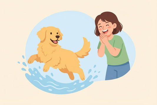 5 leuke weetjes over Golden Retrievers die elke hondenbaas moet kennen - Mivero