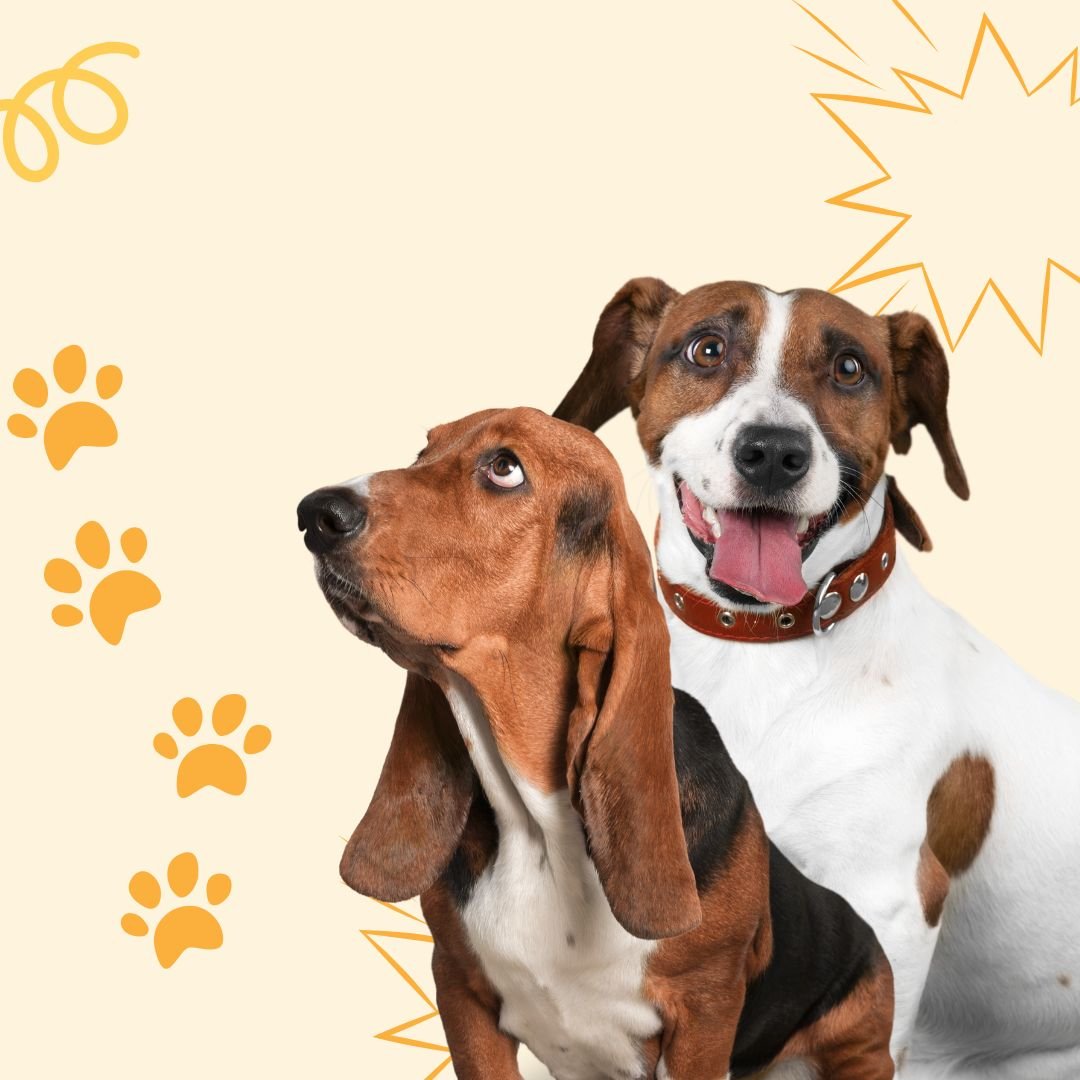 Bestsellers - Mivero