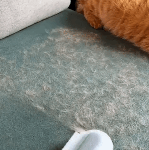 PetSweep - Ergonomische 3-in-1 Huisdierborstel