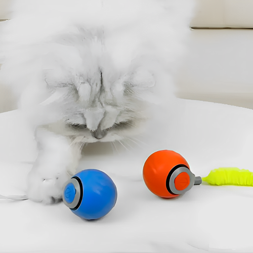 Zoomball 2.0 - Houdt katten actief en speels