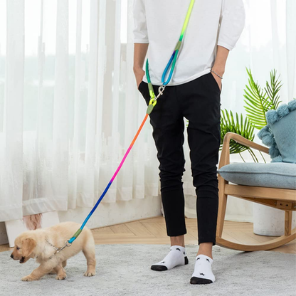 LeashLink  - Handsfree Verstelbare Hondenriem