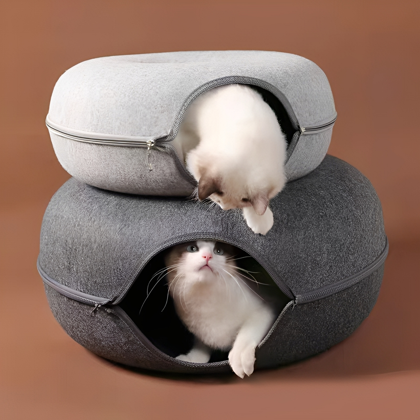 PurrPod - Ruim Interactief Kattentunnel