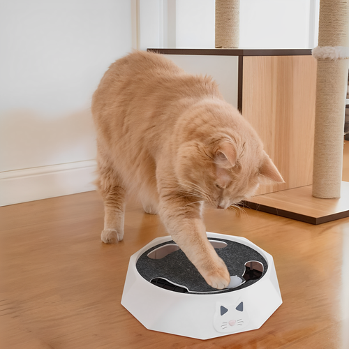 PurrChase - Interactieve Beweeglijke Kattenspeelgoed