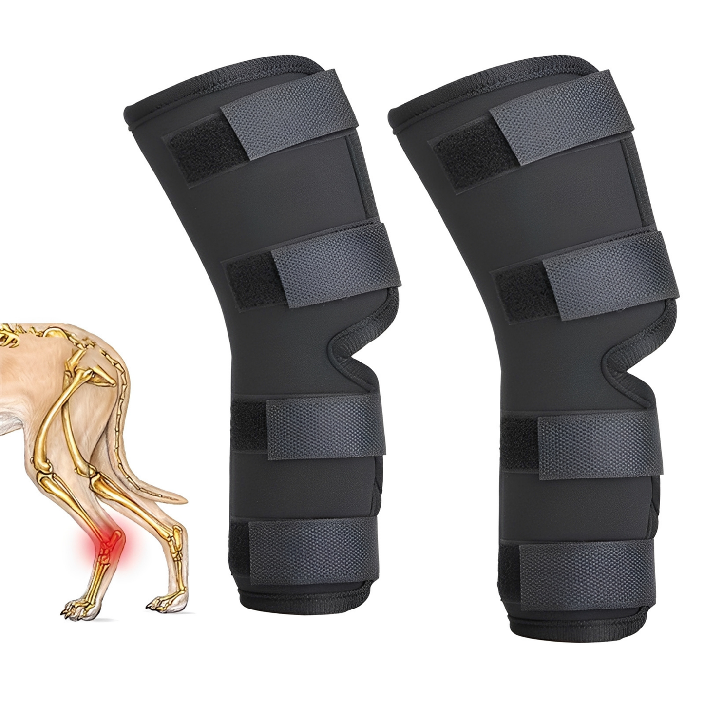 PawBrace - Orthopedische Honden Pootbrace