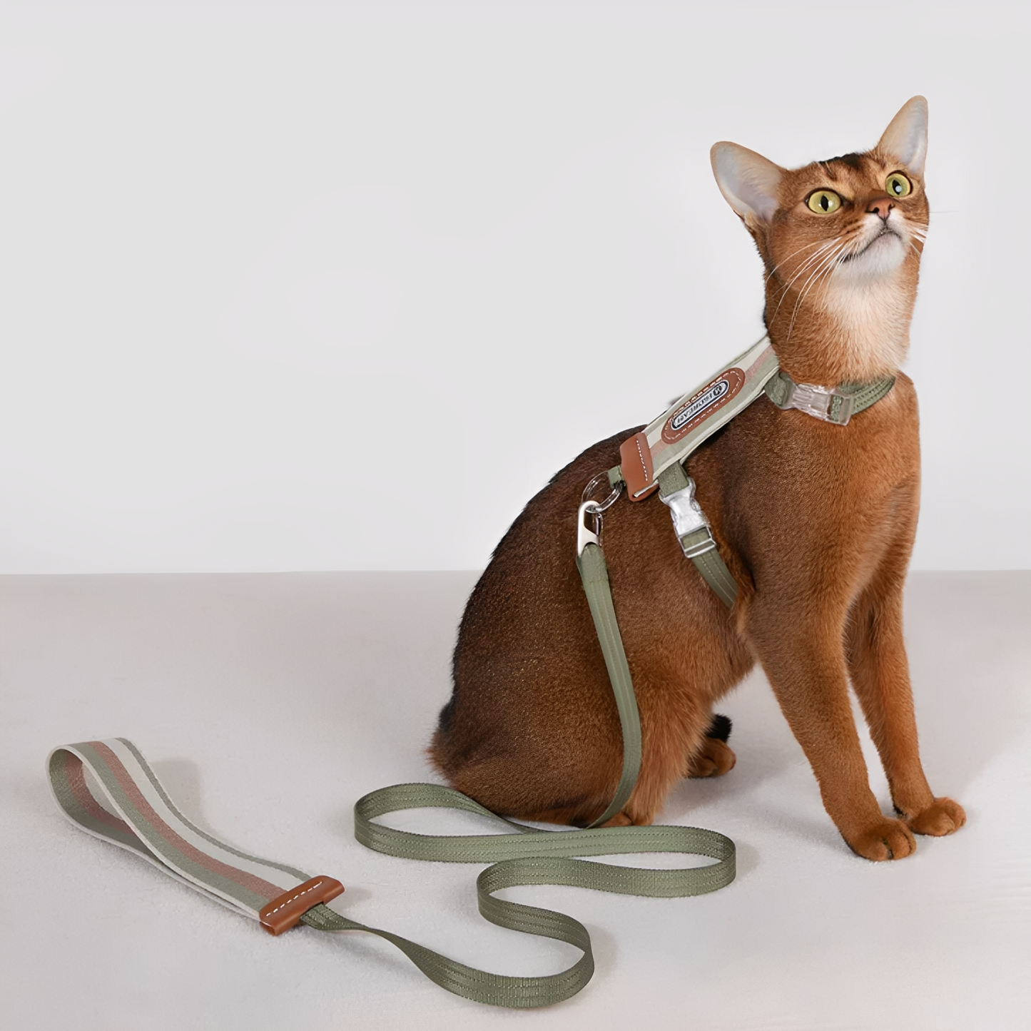 Meowalk - Reflecterend Ergonomisch Kattentuigje