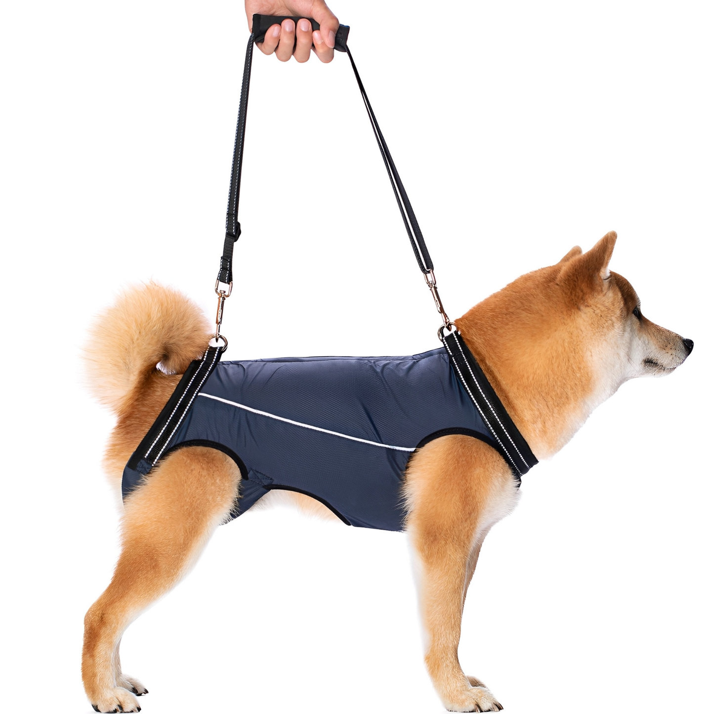 PawLift - Ondersteunend Tilharnas Hond