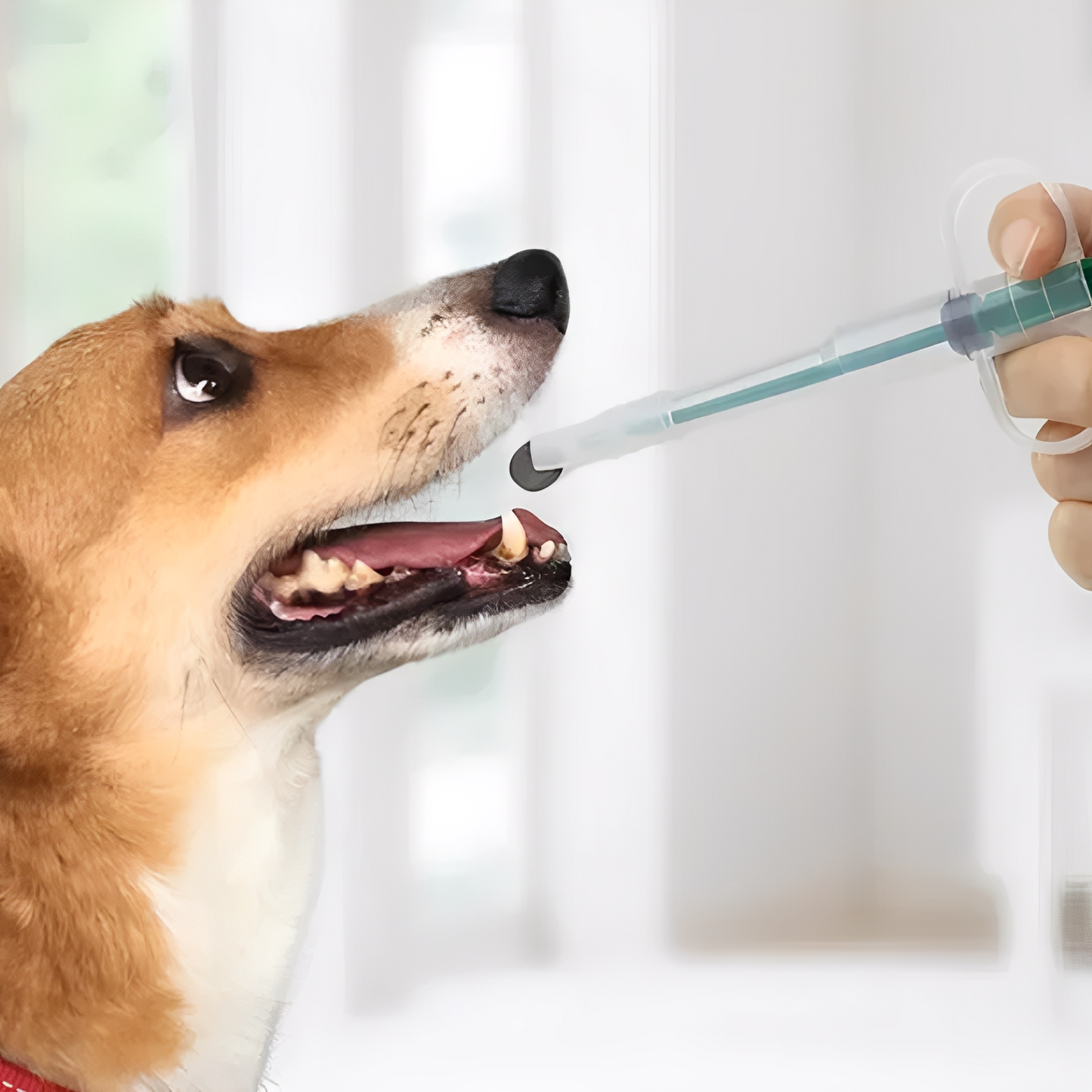 Medipaw - Silicone Medicatie Hond Injector