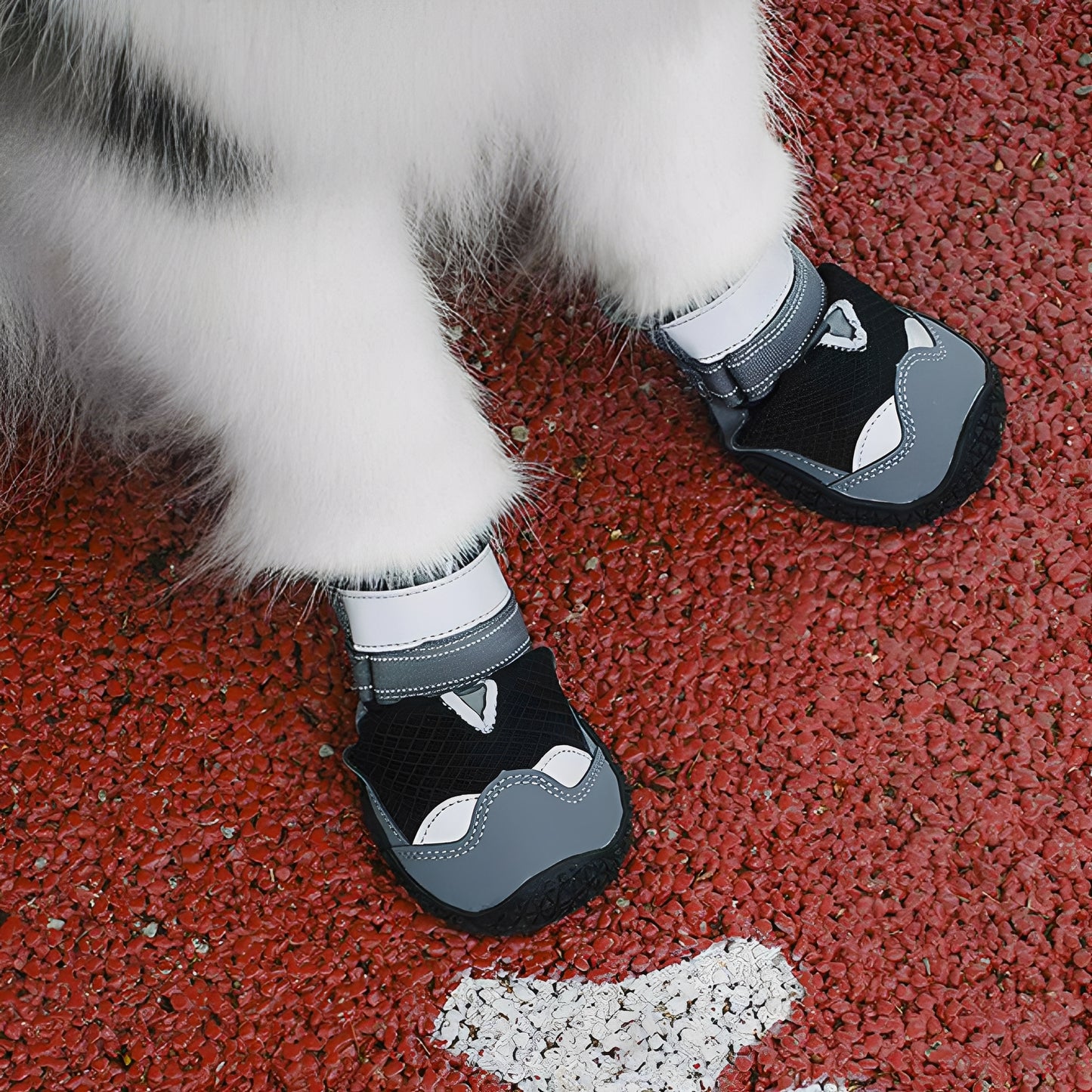 TrailPaws - Beschermende Antislip Hondenschoenen