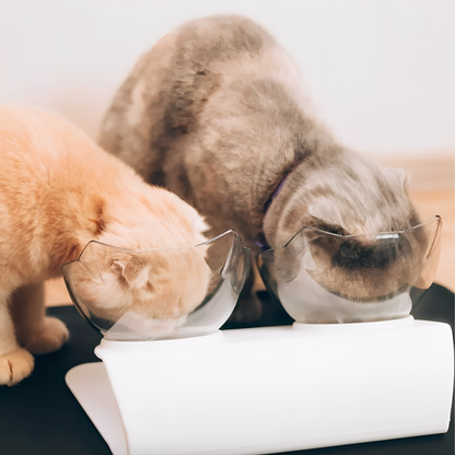 MealMate - Ergonomische Kantelbare Kattenbakjes