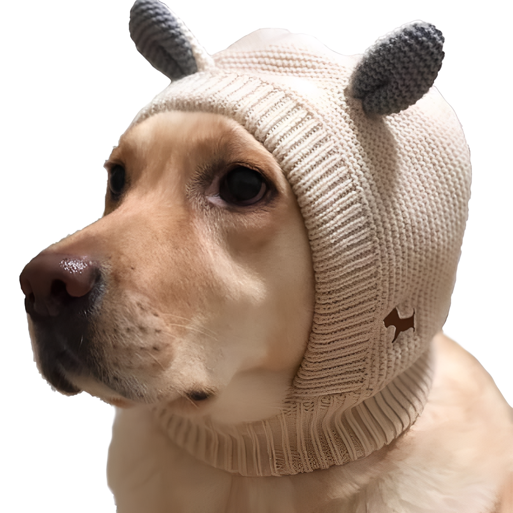 WoofWrap - Ademende Winter Hondsjaal