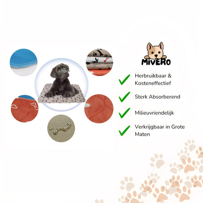 AbsorbEase - Herbruikbare Lekvrije Pethoezen