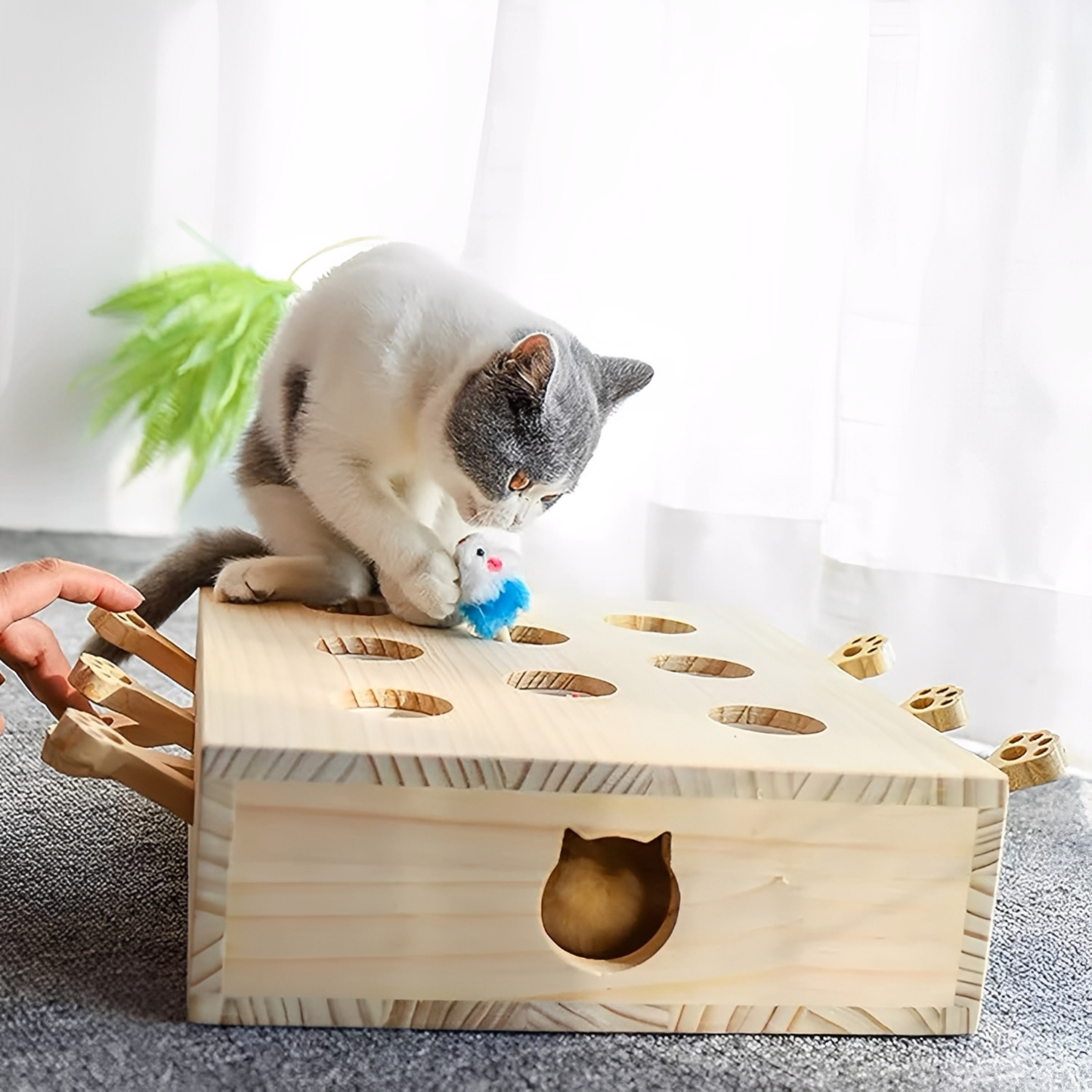 MoleHunt - Houten Whack-A-Mole KattenSpeelgoed