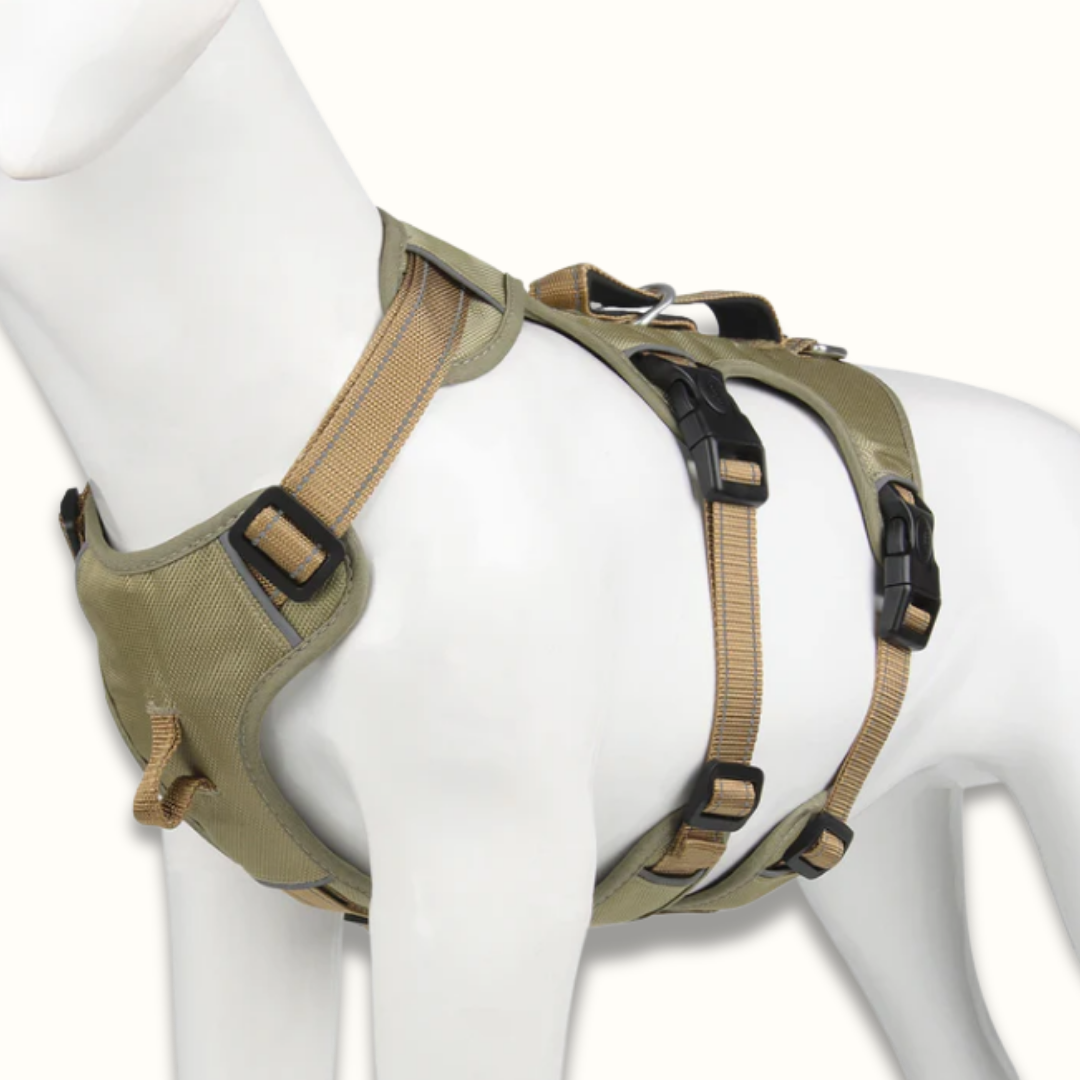 HarnessPro - Escapeproof Verstelbaar Hondentuig