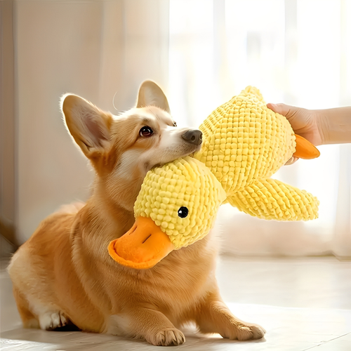 QuackMate - Quakkend Pluche Hondenspeeltje