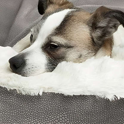 CuddleCave - Knusse Graafbare Huisdiermand